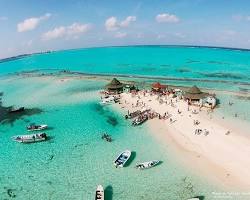 acuario-natural-de-johnny-cay
