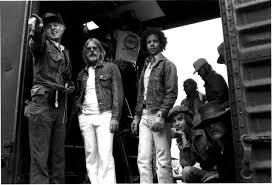 Résultat de recherche d'images pour "haskell wexler"