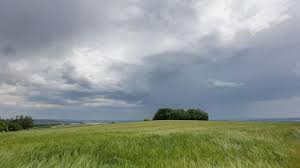 Wetter: Hochsommerlich und wechselhaft: Im Südwesten drohen Schauer