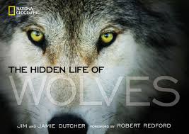 Image result for wolves