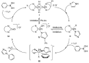 Hydrophobic interactions in catalysis by imidazole-containing