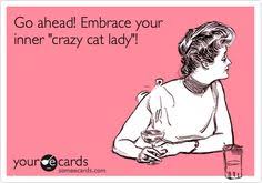 LOL - Cat Lover on Pinterest | Cat Quotes, Crazy Cat Lady and Cat via Relatably.com