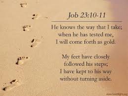 Bible Verse from the book of Job | Words To Live By | Pinterest ... via Relatably.com