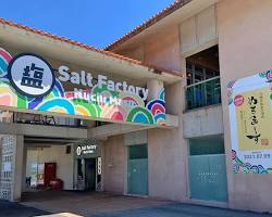 ぬちまーすが購入できる場所の例 (店舗、オンラインショップ)の画像