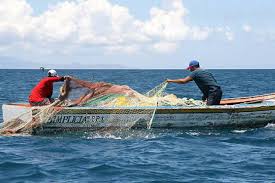 Resultado de imagen para pesca del camaron en venezuela