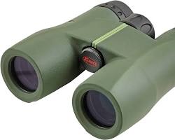 Image of child using binoculars to observe nature.