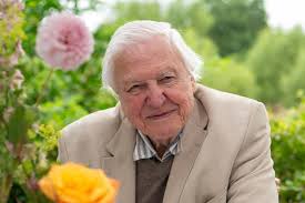 Secret to living to 100 revealed as David Attenborough approaches birthday