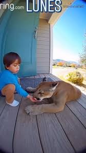 Reel by Vida Sana 🥗 (@vida_sanas) · October 20, 2025