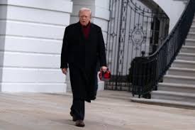 Trump's Plan to End Protections for Somalis in Minnesota Sparks Fear