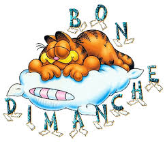 Résultat de recherche d'images pour "bon dimanche images gif animé"