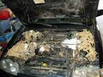 Rodents Damage Cars By Chewing Electrical Connections: Tips On