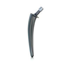 Cemented femoral stem - AEON - Peter Brehm