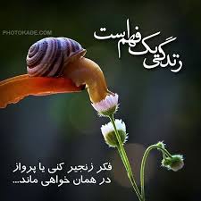 Image result for ‫عکس نوشته محصول سکون‬‎