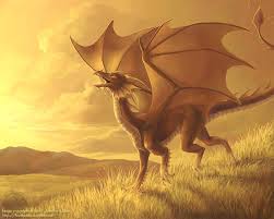 images?q=tbn:ANd9GcQ0Y1aljQzTEad3gqxhwxE