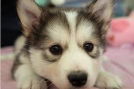 This is me, huuuuuuu!