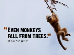 Funny Monkey Quotes And Sayings. QuotesGram via Relatably.com