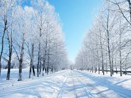 Image result for winter
