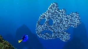 Image result for moonfish