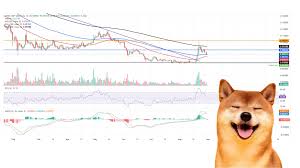 چه انتظاری از قیمت دوج‌کوین داشته باشیم؟