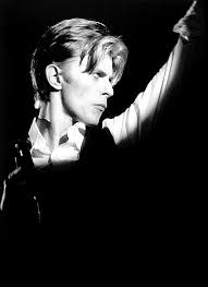 Image result for thin white duke