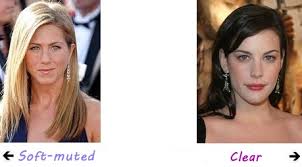 Résultat de recherche d'images pour "muted colors"