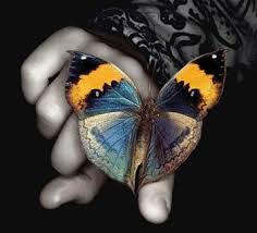 Image result for animated butterflies wallpaper