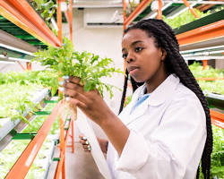 Image of Agricultural Research