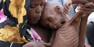 images?q=tbn:ANd9GcQ1Frl3E6xl-L-wp-L9cpX