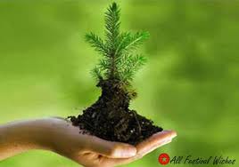 World-Environment-Day-Messages-in-Hindi.jpg via Relatably.com