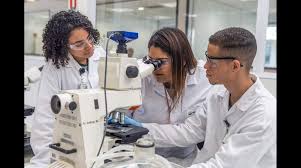 Campo Grande News - News update