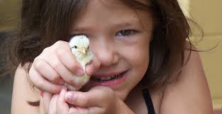 Resultado de imagem para imagens de animais e crianças