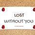 The lost travelling bag