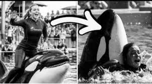 Salama daholo topoko oh Teo ny tapaka trasmisoint sprinter Tapaka lohany ,,, vodiny ,,,, tapaka vaviny bonne occasion be tel 038.90.148.26 | Facebook