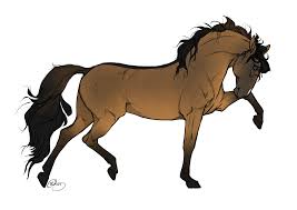 Image result for HORSE