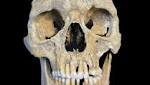  In Ancient Skeletons, Scientists Discover a Modern Foe: Hepatitis B