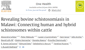 Building Bridges to Support One Health in Urogenital Schistosomiasis - 1