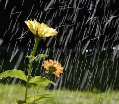 Clima en Cancún: lunes de lluvias fuertes en Quintana Roo