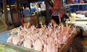 Image result for ayam potong
