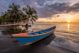 Travel And Tour World - News update