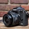 Story image for Canon Camera For Photographer from The Verge