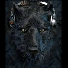 Image result for vega +lyra