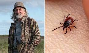 Increased Tick Bites Lead to Dangerous Meat Allergy - Even the Aroma of Bacon Can Cause a Reactio - 8