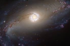 Image result for ngc 1566