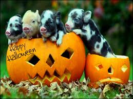 Résultat de recherche d'images pour "happy halloween"