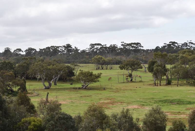 Werribee Open Range Zoo