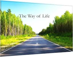 Image result for way of life
