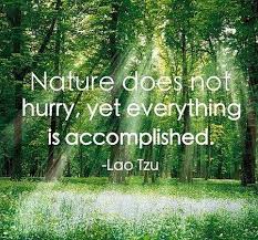 Ancient Wisdom of the Tao Te Ching - Lao Tzu Quotes - Third Monk via Relatably.com