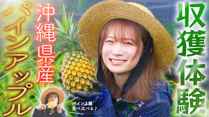 JAcom 農業協同組合新聞 - News update
