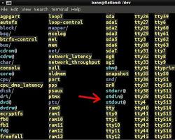 Image of Dev directory in Linux