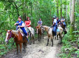 Image result for belize horseback riding